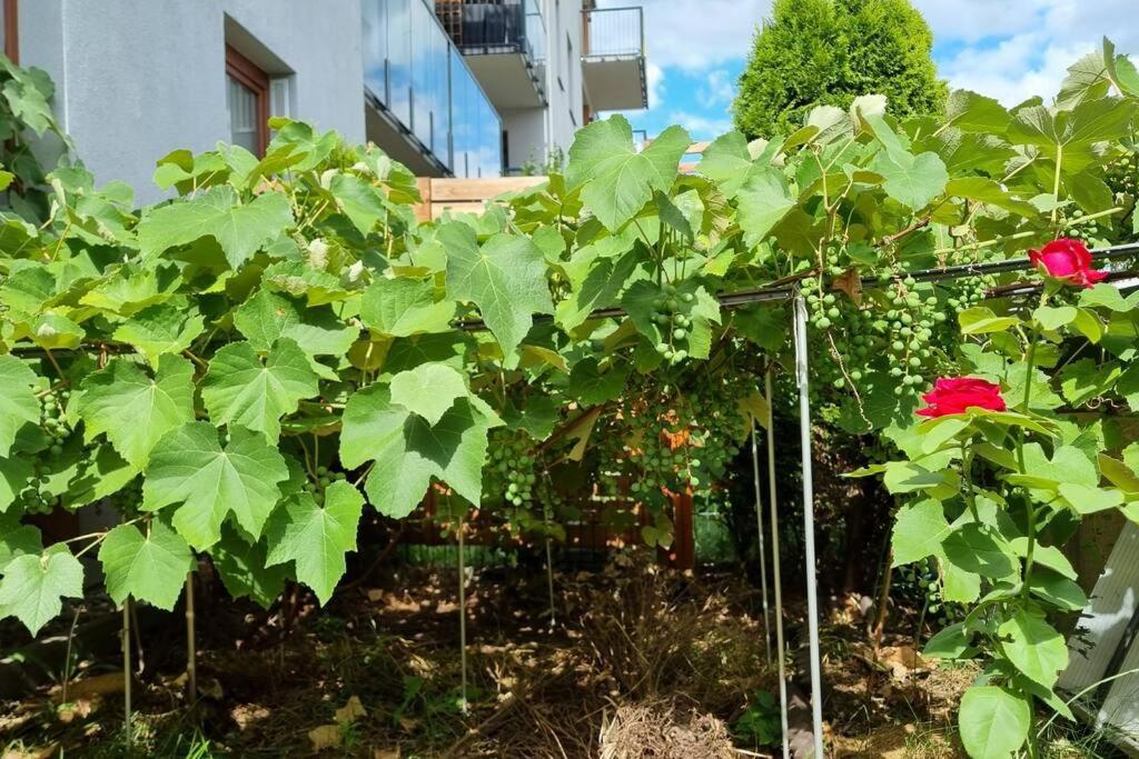 Luxury Garden Apartment Варшава Екстер'єр фото